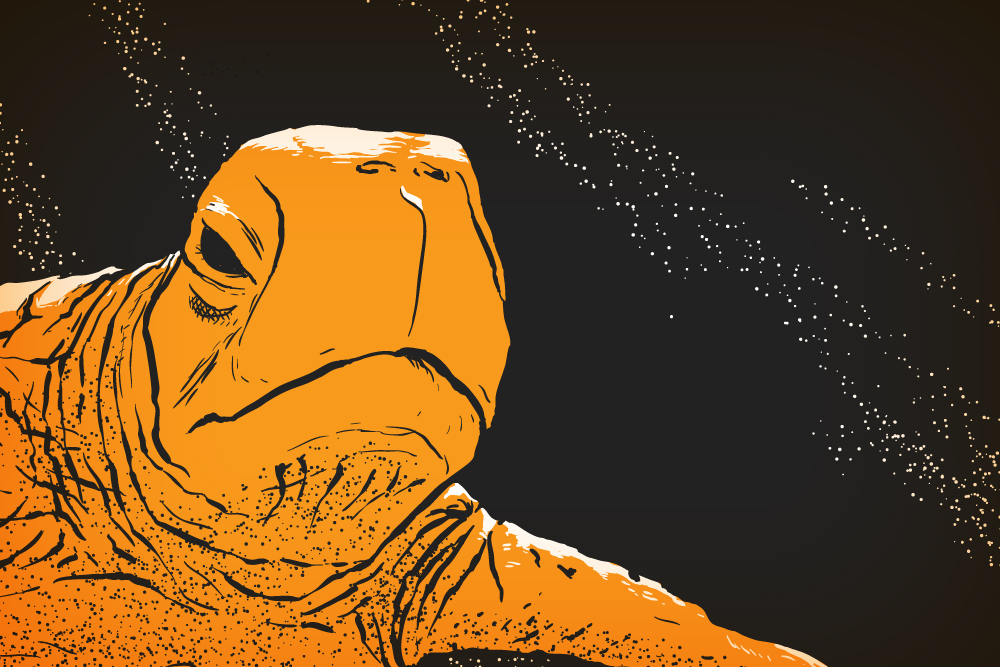 Thumbnail for Shell: An Autobiography About Turtles